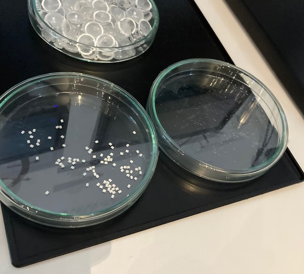 기존 LED 소자(왼쪽)과 퀀텀 미니 LED (오른쪽). 눈에 띌 정도로 크기가 큰 LED 소자와 달리 퀀텀 미니 LED는 현미경으로 봐야 자세히 보일 만큼 크기가 작다. (사진=최문정)