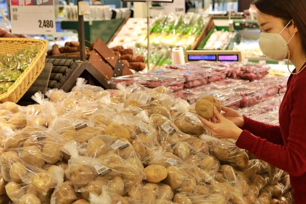 ▲ 서울 중구 봉래동에 위치한 롯데마트 서울역점에서 고객이 감자를 고르고 있는 모습 (사진제공=롯데마트)