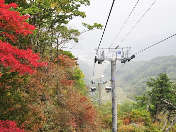 덕유산리조트 관광곤도라(부영 제공)
