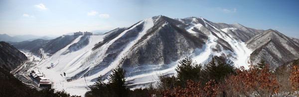 오투리조트 스키장 전경