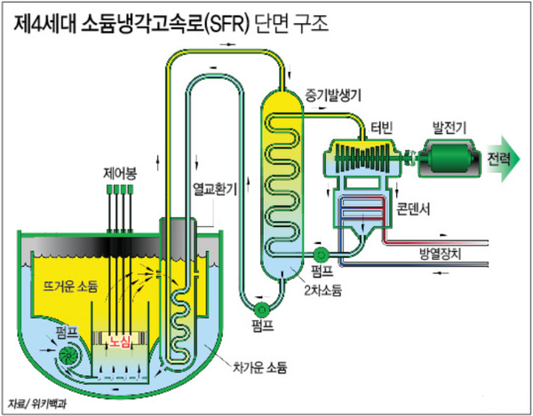 SK그룹이 소형모듈원자로(SMR) 투자를 검토하는 것으로 알려졌다. 사진은 SMR 중 소듐냉각형(SFR) 고속로의 구조도 (현대엔지니어링 제공)
