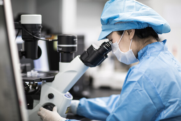 대웅제약 연구사진 (대웅제약 제공)