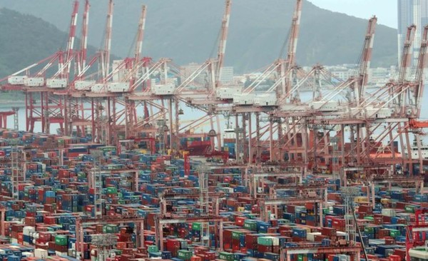 부산 남구 신선대부두 야적장.(뉴시스 제공)