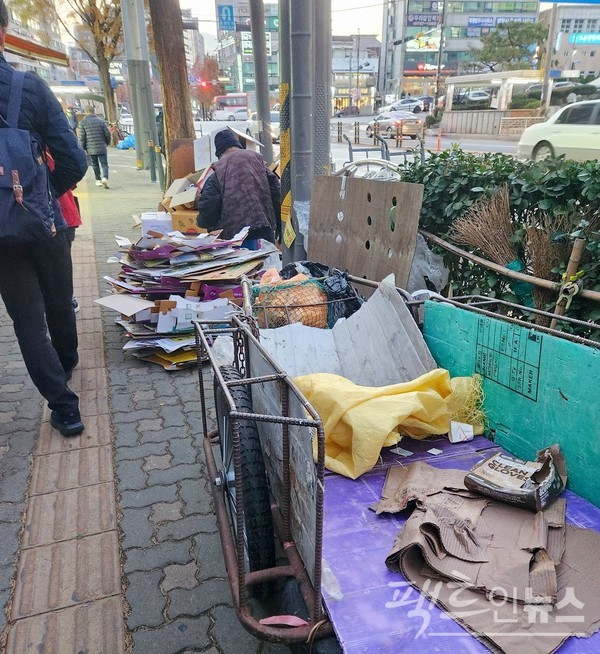 여성 노인은 수정로 인도에서 폐상자를 정리해 수레에 싣고 있다. [사진=정수남]