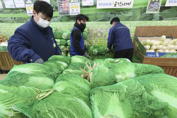 22일 서울의 한 대형마트에서 직원들이 배추를 정리하고 있다. 한국은행은 11월 생산자물가지수가 전월 대비 0.2% 내렸다. 특히 농산물이 두 달 연속으로 크게 하락했으며 세부품목으로는 무(-47.8%), 배추(-45.8%)가 가장 많이 하락했다고 밝혔다. [사진=뉴시스]