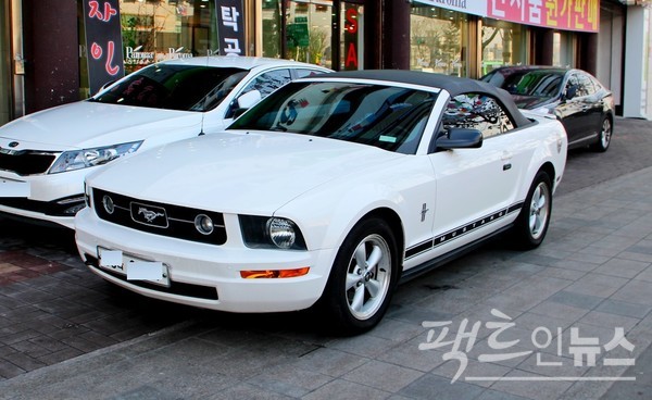 포드 머스탱은 달리는 말이 엠블럼이다. 현재 페라리가 성능과 가격 면에서 머스탱을 앞선다. 488GTB의 4000㏄ 휘발유 엔진은 최고출력 670마력, 최대토크 77.5㎏·m, 제로백 3초, 최고 속도가 시속 330㎞다. 머스탱 5.0의 5000㏄ 휘발유 엔진은 최고출력 446마력, 최대토크 54.1㎏·m, 제로백 4초 후반이다. 이들 차량 가격은 각각 5억원, 6000만원을 상회한다. 2019년 영화 ‘포드 V 페리리’는 1960년대 포드 레이싱팀이 파라리 레이싱팀을 극복하기 위한 포드의 분투를 다룬 영화다. 극중 레이싱에서 포드가 우승한다. [사진=정수남 기자]