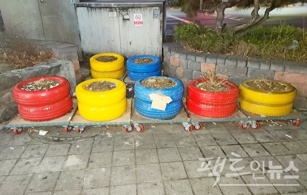 국내 폐타이어 재활용이 제한적이다. 폐타이어에 페인트를 칠해 화분으로 사용하고 있다. [영상/사진=정수남 기자]