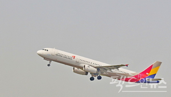 아시아나 항공도 지난해 매출과 영업이익이 급증하면서 순이익을 구현해 흑자전환했다. [사진=정수남 기자]