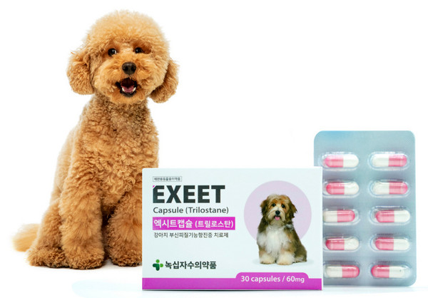 국내 제조 반려동물 쿠싱증후군 치료제 엑시트. [사진=녹십자]