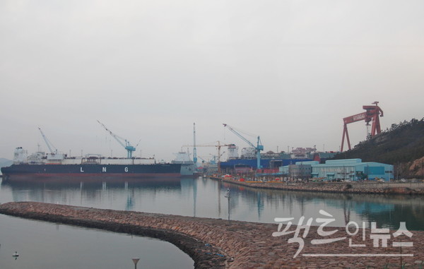 현대삼호중공업도 지난해 고실적으로 주당 1120원을 배당키로 하고 모두 52억원의 현금을 마련했다. 전남 영암 현대삼호중공업 조선소. [사진=정수남 기자]