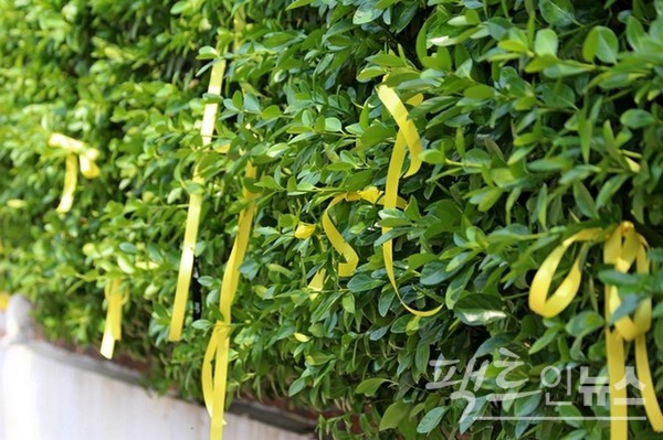 세월호 침몰 다음 날 (위부터)경기 성남시 성남대로 모란역 구간 등 전국 주요 지역에는 세월호 희생자를 추모하는 현수막 등이 걸렸다. [사진=정수남 기자]