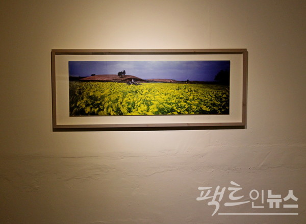 고 김영갑 자가는 생전 제주의 바람을 필름에 잡았다. [사진=정수남 기자]