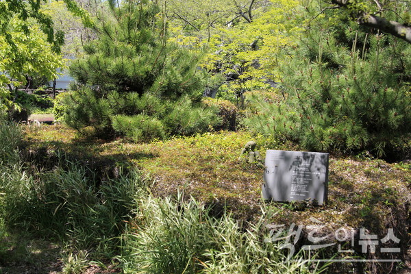 고 김영갑 작가는 삼달초등학교 운동장을 제주도 자연을 닮게 직접 설계하고 꾸몄다. [사진=정수남 기자] 