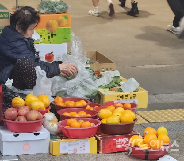 (위부터)80대 남성 노인이 서울지하철 9호선 김포공항행 급행 첫차를 이용해 꽃배달을 하고 있다. 출입구를 막았다. 같은 나이대의 여성 노인은 2호선 삼성역 출구 구석에서 과일 등을 팔지만, 손님은 없다. [사진= 정수남 기자]