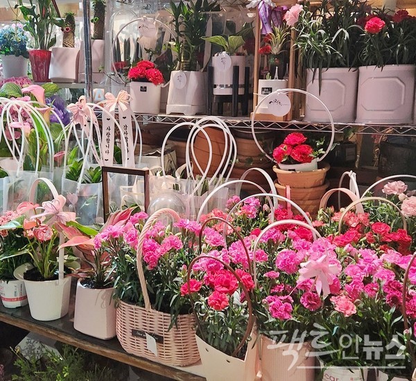 반면, 꽃집은 여전히 5월의 꽃 카네이션으로 승부한다. 붉은색 카네이션은 건강을 비는 사랑, 존경을, 분홍색 카네이션은 감사와 아름다움을, 주황색 카네이션은 순수한 사랑을, 파랑색 카네이션은 행복을 각각 의미한다. [사진=정수남 기자]