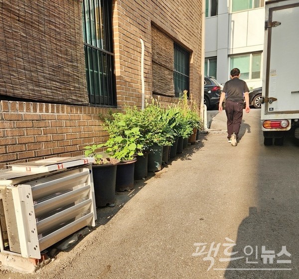 골목 통행을 방해하는 것은 자동차뿐만이 아니다. 가정집에서 무단으로 내놓은 화분도 걸림돌이다. 차나 화분이나 도긴개긴이다. [사진=정수남]
