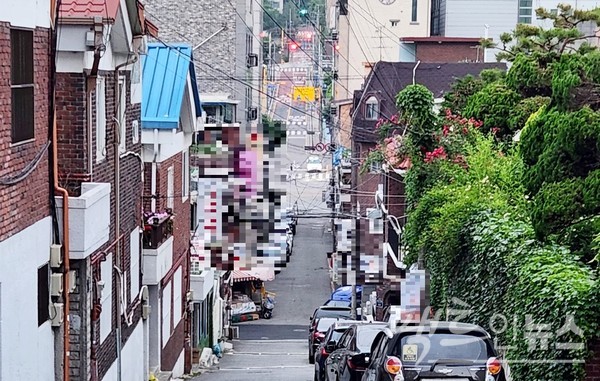 경기 성남시 중원구에 있는 한 재활원 담(오른쪽)이다. 덩굴 식물이 담과 전봇대를 뒤덮었다. 지난달 일이다. [영상/사진=정수남 기자]