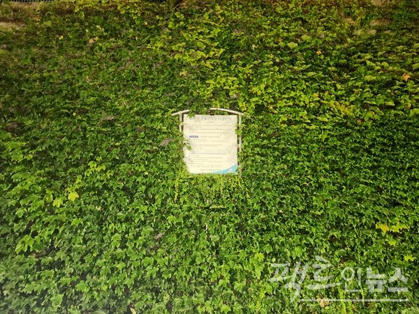 한 지방자치단체가 옹벽에 거주자 우선 주차를 안내표지판을 붙였다. 덩굴 식물이 표지판을 제외하고 옹벽을 점령했다. [사진=정수남 기자]