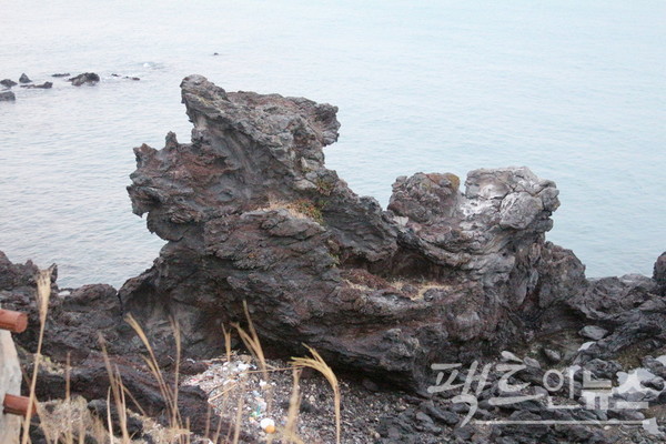 제주시 해변에는 용의 머리를 닮은 바위가 있다. 모두 바닷물과 바람이 만든 작품이다. [사진=정수남 기자]