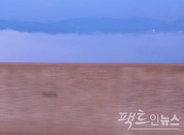 고속국도를 가로지르는 골짜기에 구름 같은 안개가 끼었다. [사진=정수남 기자]