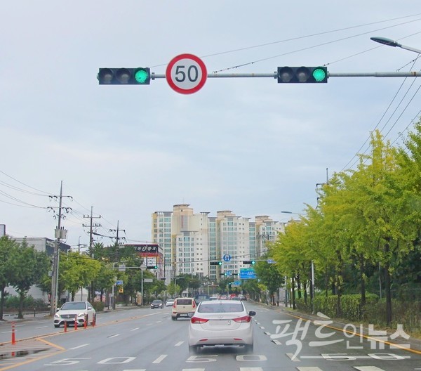 청주시 청원구 율중로. 가로수가 노란 빛을 띠고 있다. [사진=정수남 기자]