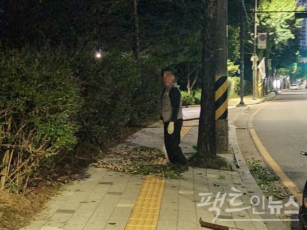 한 60대 남성은 중원구 시민로에서 새벽에 은행을 따고 있다. 계획적이다. 옆에 긴 막대기와 빗자루, 봉투 등을 준비해서다. 가로수 은행나무 열매를 채집하는 행위도 절도죄(형법 제329조)에 해당한다. 역시 5년 이하 징역 또는 5000만원 이하 벌금형 대상이다. 열매를 채취하기 위해 나무를 흔들거나 도구를 이용해 나무에 있는 열매를 따는 행위 는 산림자원의 조성 및 관리에 관한 법률(산림자원법) 74조 2항에 따라 3년 이하의 징역 또는 3000만원 이하의 벌금형이다. 은행나무와 거리가 있는 지점에서 은행 열매를 채취하는 경우는 점유이탈물횡령죄(형법 제360조)로 역시 처벌 대상이다. [사진= 정수남 기자]