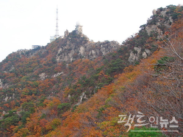 관악산 연주대에 오르면서 잡은 연주대 인근 단풍. [사진=정수남 기자]