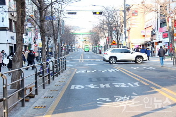 (위부터)신촌로 화분에 지난해 심은 양배추꽃도, 가로수도 여전히 말랐다. [사진=정수남 기자]