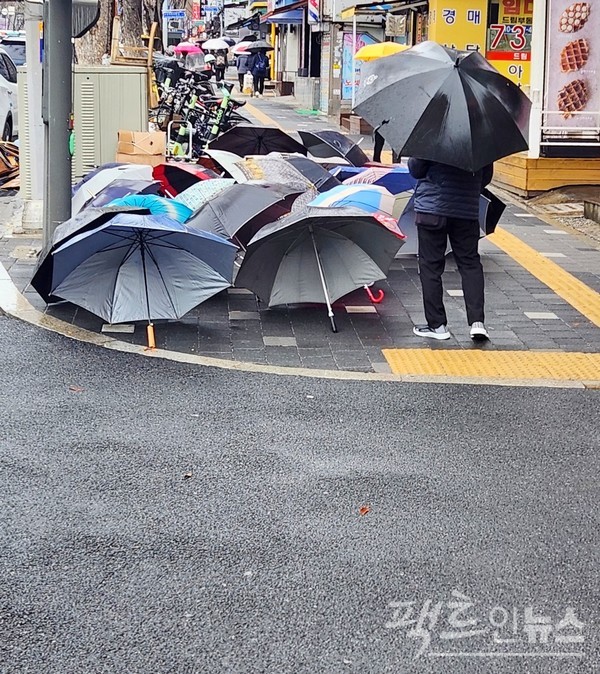 출입구 앞에 20개가 조금 안 되는 우산이 펼쳐져 있다. 70대 노인(검정 우산 쓴이)이 전위 예술을 하는 것일까? [사진=정수남 기자]