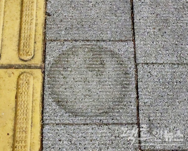 수도권 도시에 있는 보건소 앞 인도다. (위부터)코로나19 대확산기에 감염 여부를 검사하기 위해 시민이 이곳을 대거 찾자, 부착한 거리두기 2m 안내판이다. 보건소가 최긍 이를 제거헸다. 이제 코로나19가 엣 일이 된 것이다. [사진=정수남 기자]