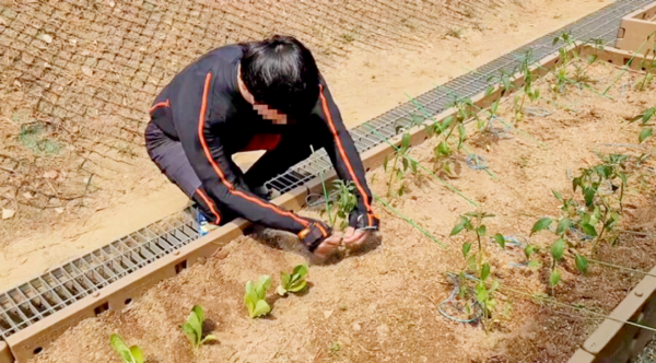 치유농업 활동 생체데이터 수집 모습. [사진=건국대]