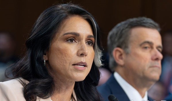 털시 개버드 미국 국가정보국(DNI) 국장이 지난 3월 25일(현지 시간) 미 상원 정보위원회 청문회에서 발언하고 있다. [사진=뉴시스]