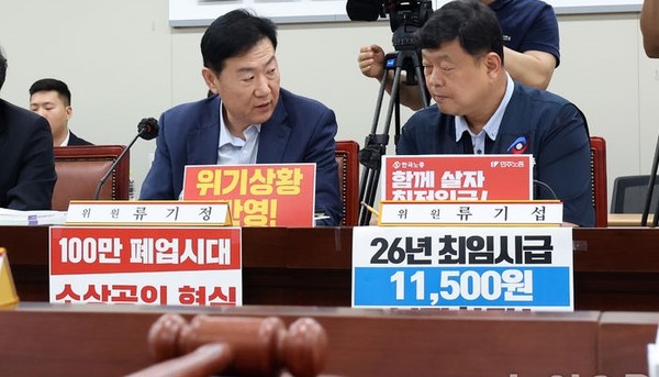 지난 3일 세종시 정부세종청사에서 열린 최저임금위원회 9차 전원회의에 참석한 류기정 사용자위원과 류기섭 근로자위원이 대화하고 있다. [사진=뉴시스]