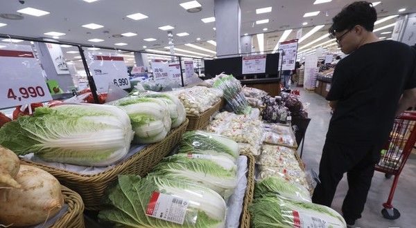 서울 시내의 한 대형마트 매대에 배추가 놓여 있다.[사진=뉴시스]