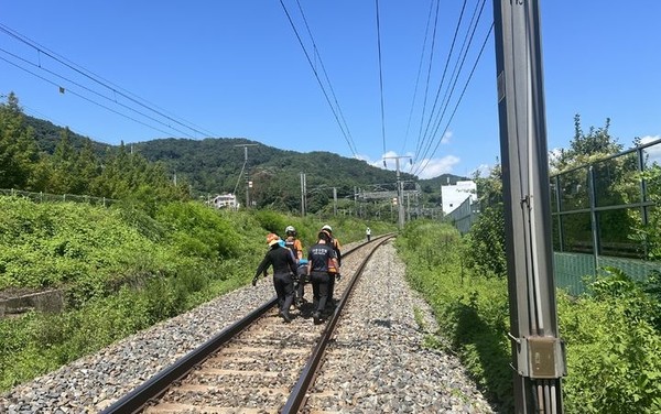 19일 오전 10시52분께 경북 청도군 화양읍 삼신리 청도소싸움 경기장 인근에서 남성현∼청도역 구간을 운행하던 무궁화호 열차가 안전점검 중이던 작업자를 치는 사고가 발생했다.당시 작업 인원은 7명이며 이중 2명이 심정지, 4명은 중상, 1명이 경상을 입었다. [사진=청도소방서 ]