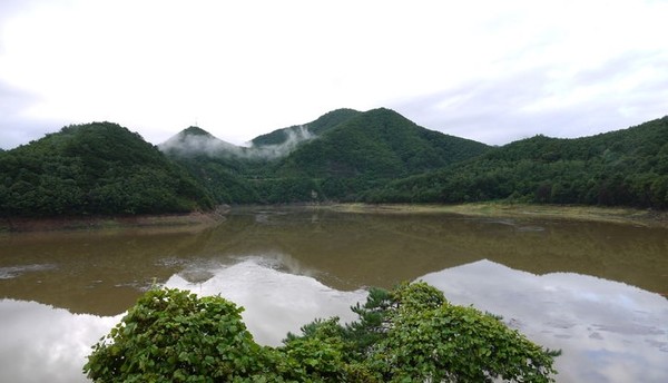  지난 21일 강원 강릉시 왕산면 오봉저수지의  저수율이 50%를 보이고 있다. [사진=뉴시스]