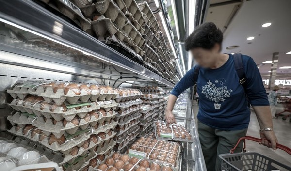  지난 5일 서울시내 한 대형마트에서 소비자들이 계란을 살펴보고 있다. [사진=뉴시스]