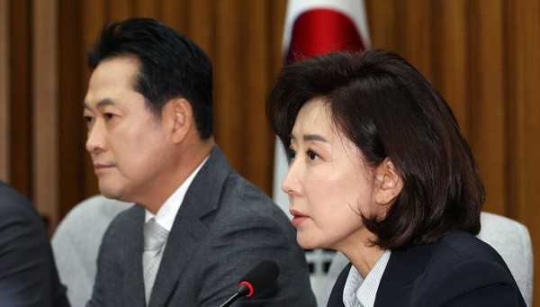 나경원 국민의힘 지방선거 총괄기획단 위원장이 10일 오전 서울 여의도 국회에서 열린 총괄기획단 제1차 전체회의에서 발언하고 있다. [사진=뉴시스]