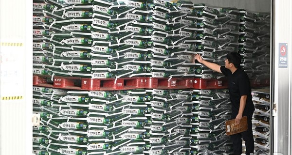 경기 용인시 한 미곡종합처리장(RPC)에서 관계자가 올해 도정한 쌀을 살펴보고 있다. [사진=뉴시스]