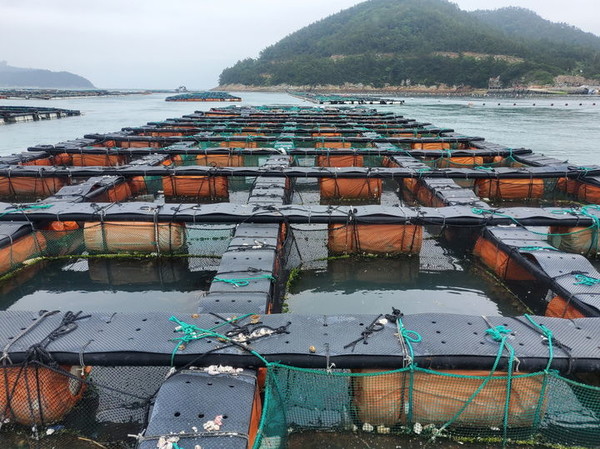  전남 전복양식장 자료사진. [자료사진 제공 = 전남도]